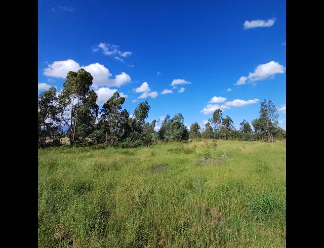 1,122M² VACANT LAND FOR SALE IN KOOKRUS